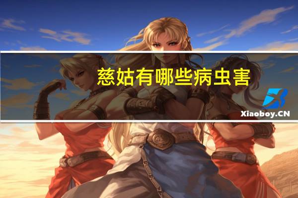 慈姑有哪些病虫害