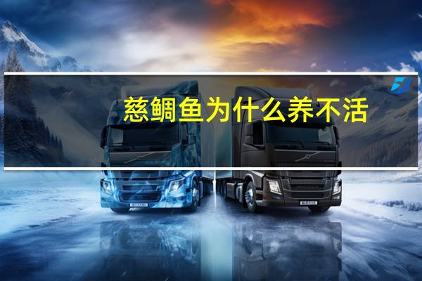慈鲷鱼为什么养不活