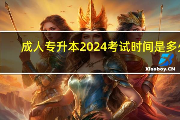 成人专升本2024考试时间是多少