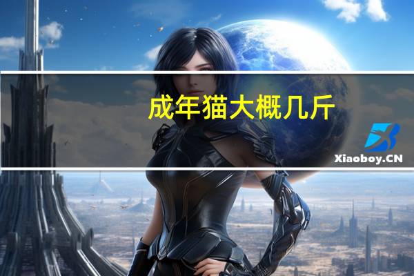 成年猫大概几斤