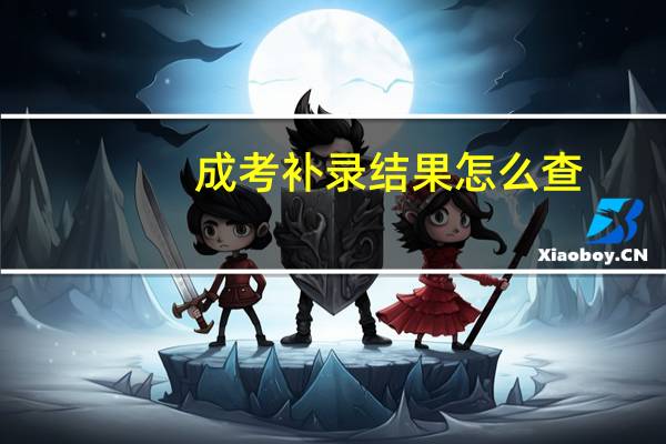 成考补录结果怎么查