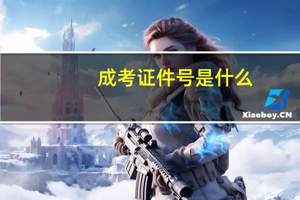 成考证件号是什么