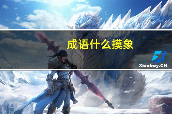 成语什么摸象