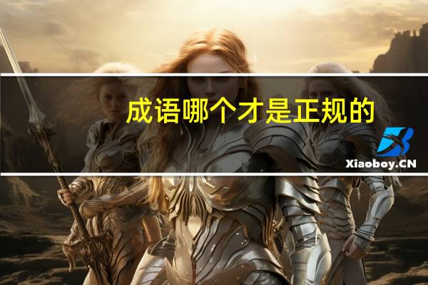 成语哪个才是正规的