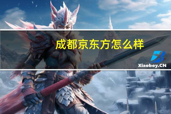 成都京东方怎么样