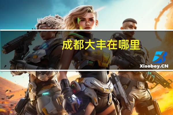 成都大丰在哪里