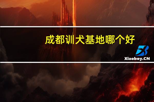 成都训犬基地哪个好