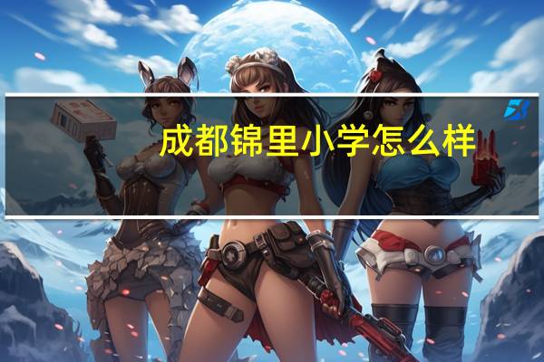 成都锦里小学怎么样