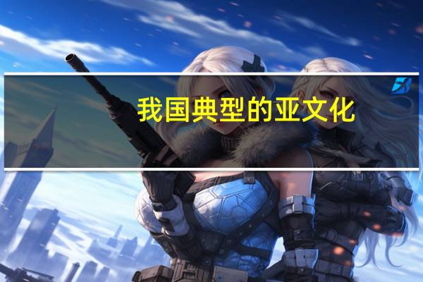 我国典型的亚文化