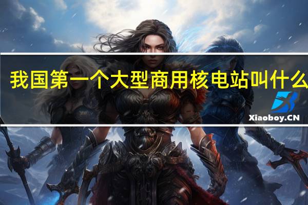 我国第一个大型商用核电站叫什么名字