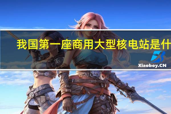 我国第一座商用大型核电站是什么
