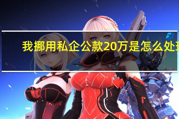 我挪用私企公款20万是怎么处理