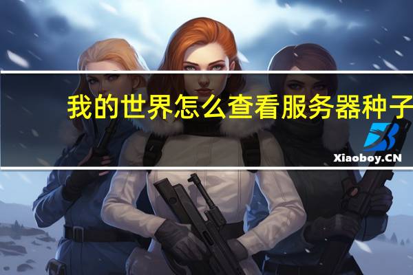 我的世界怎么查看服务器种子