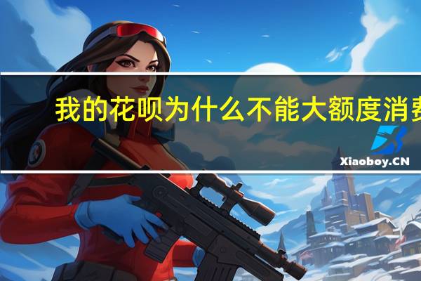 我的花呗为什么不能大额度消费