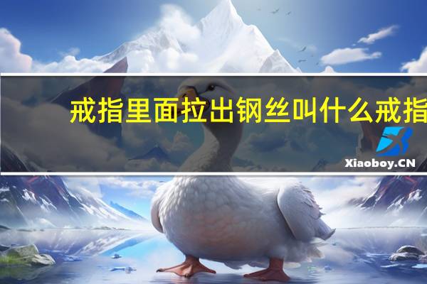 戒指里面拉出钢丝叫什么戒指
