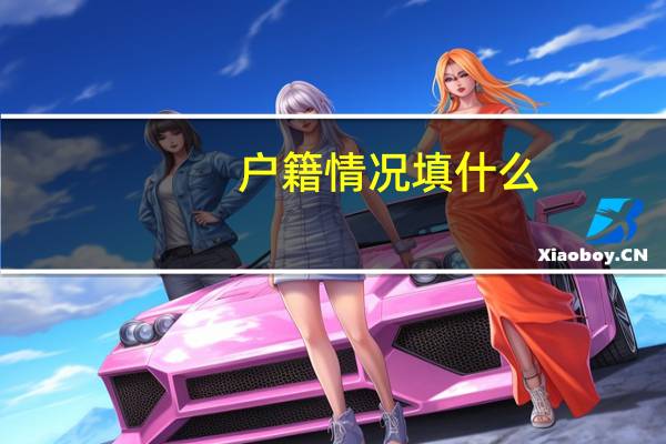 户籍情况填什么