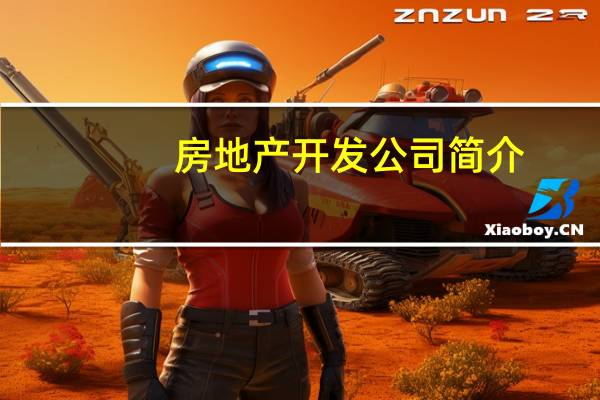房地产开发公司简介