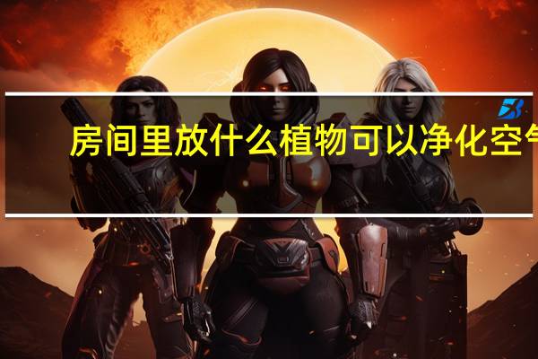 房间里放什么植物可以净化空气