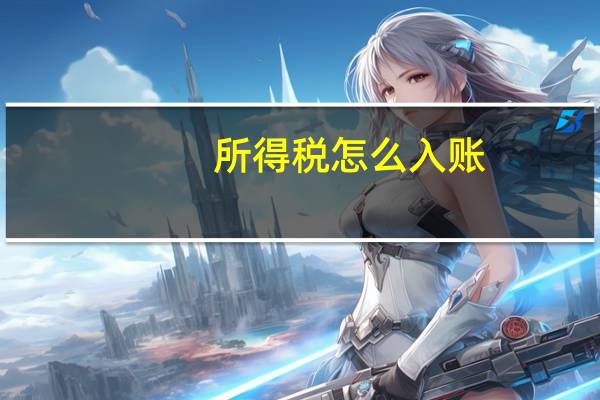 所得税怎么入账