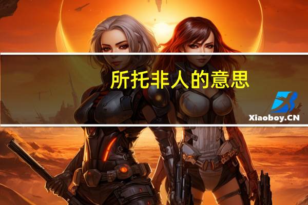 所托非人的意思