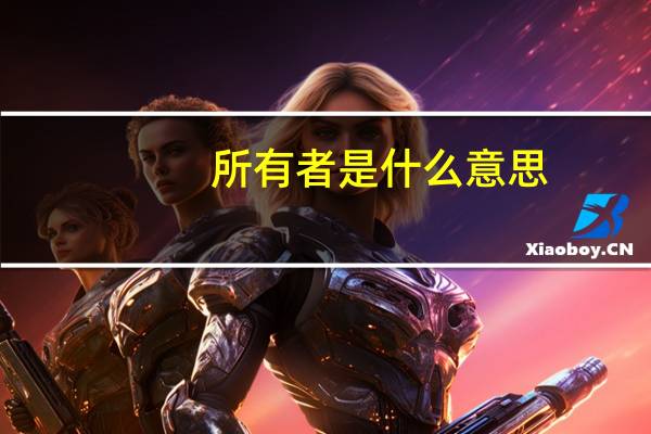 所有者是什么意思