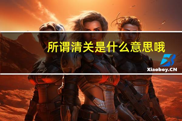 所谓清关是什么意思哦
