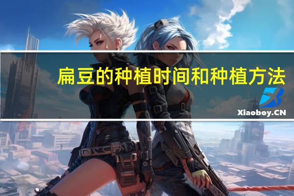 扁豆的种植时间和种植方法