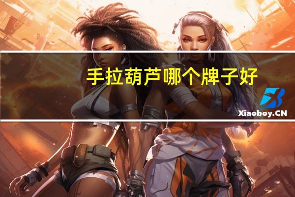手拉葫芦哪个牌子好