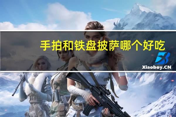 手拍和铁盘披萨哪个好吃