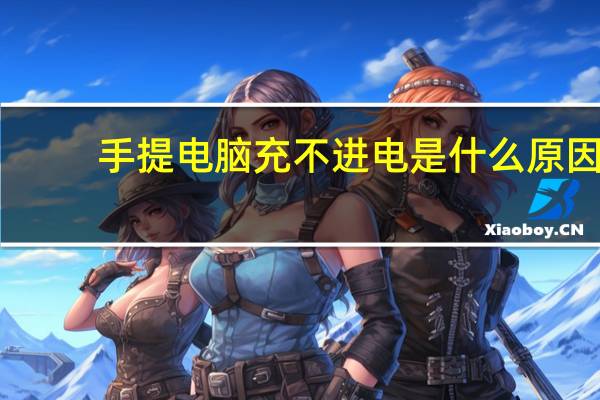 手提电脑充不进电是什么原因