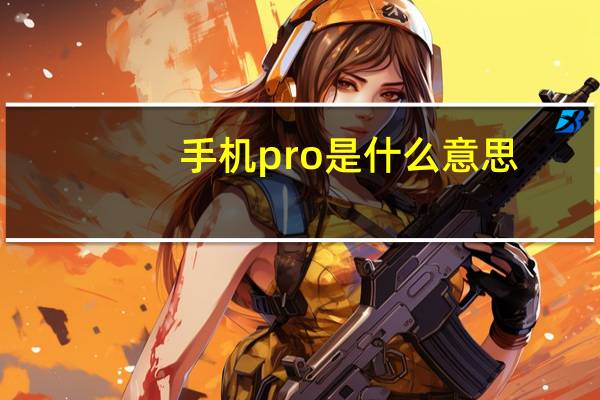 手机pro是什么意思