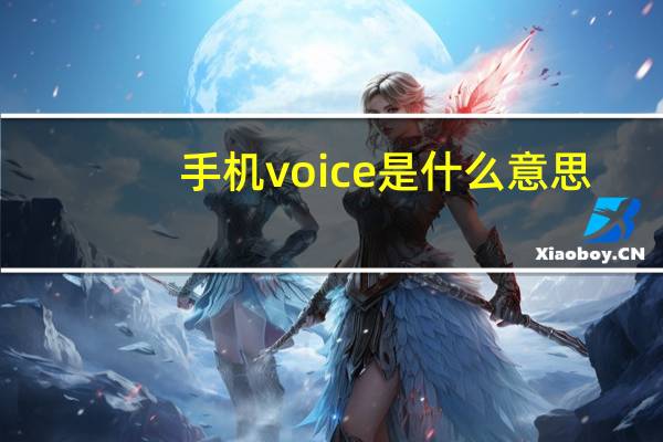 手机voice是什么意思
