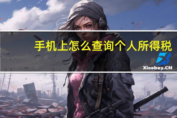手机上怎么查询个人所得税