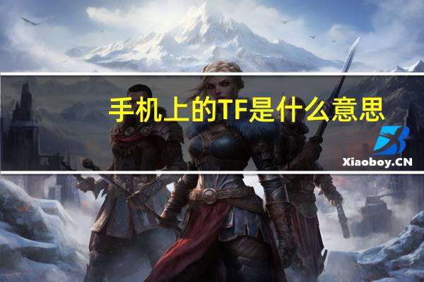 手机上的TF是什么意思