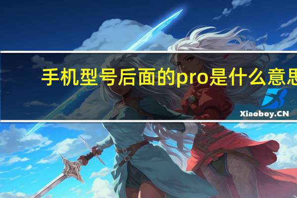 手机型号后面的pro是什么意思