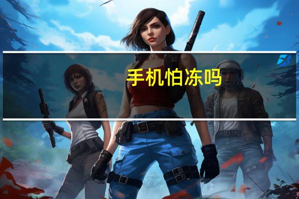 手机怕冻吗