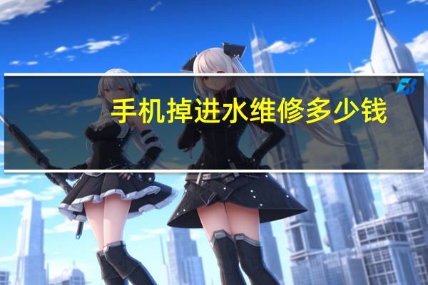 手机掉进水维修多少钱