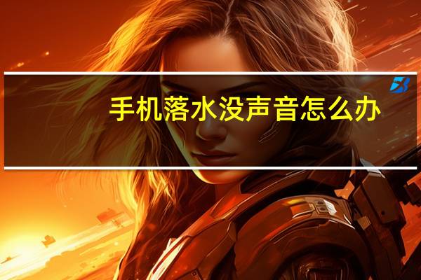 手机落水没声音怎么办