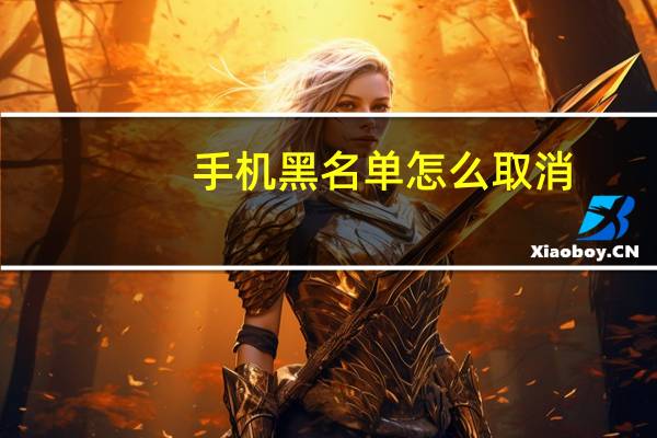 手机黑名单怎么取消