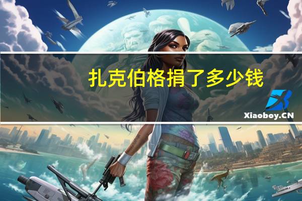扎克伯格捐了多少钱