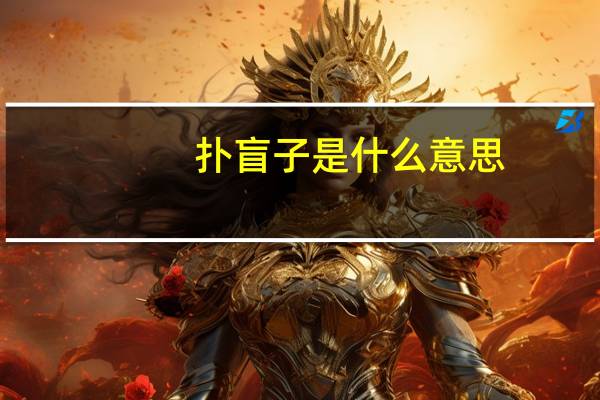 扑盲子是什么意思