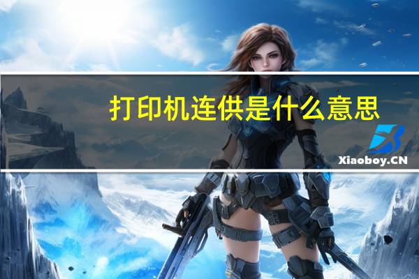 打印机连供是什么意思