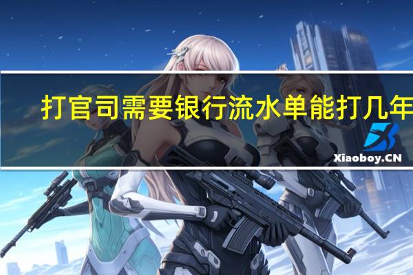 打官司需要银行流水单能打几年的