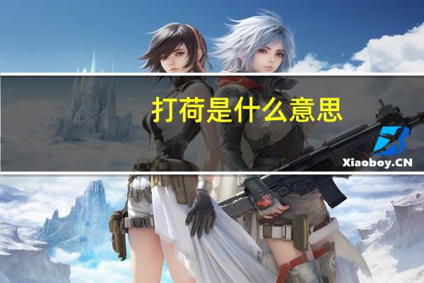 打荷是什么意思