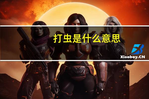 打虫是什么意思