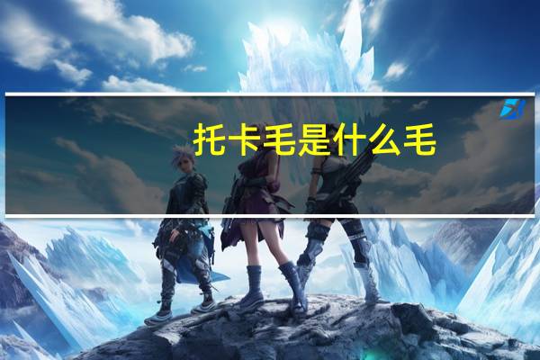 托卡毛是什么毛