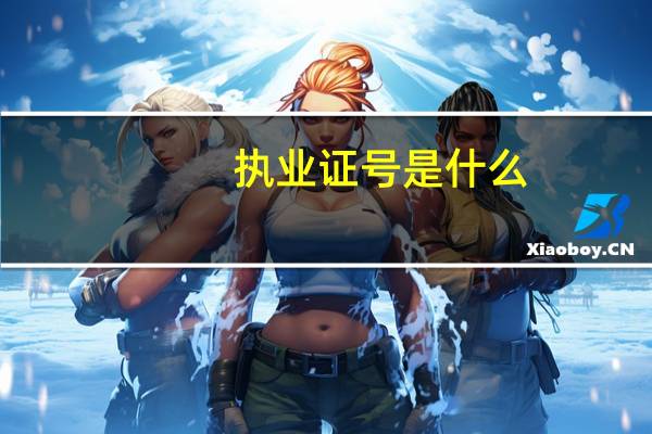 执业证号是什么