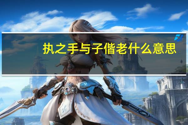 执之手与子偕老什么意思