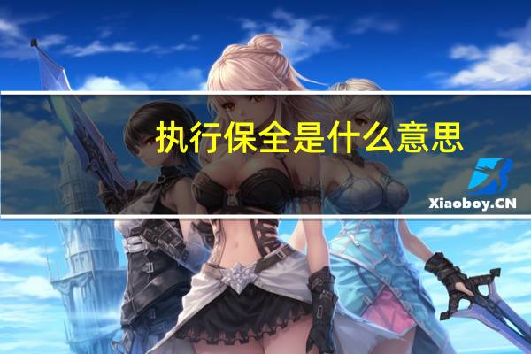 执行保全是什么意思