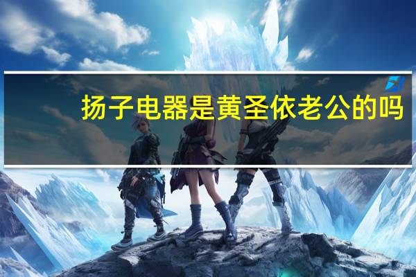 扬子电器是黄圣依老公的吗